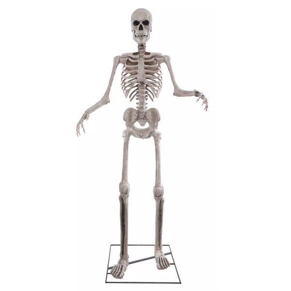 Sprechendes XXL Skelett