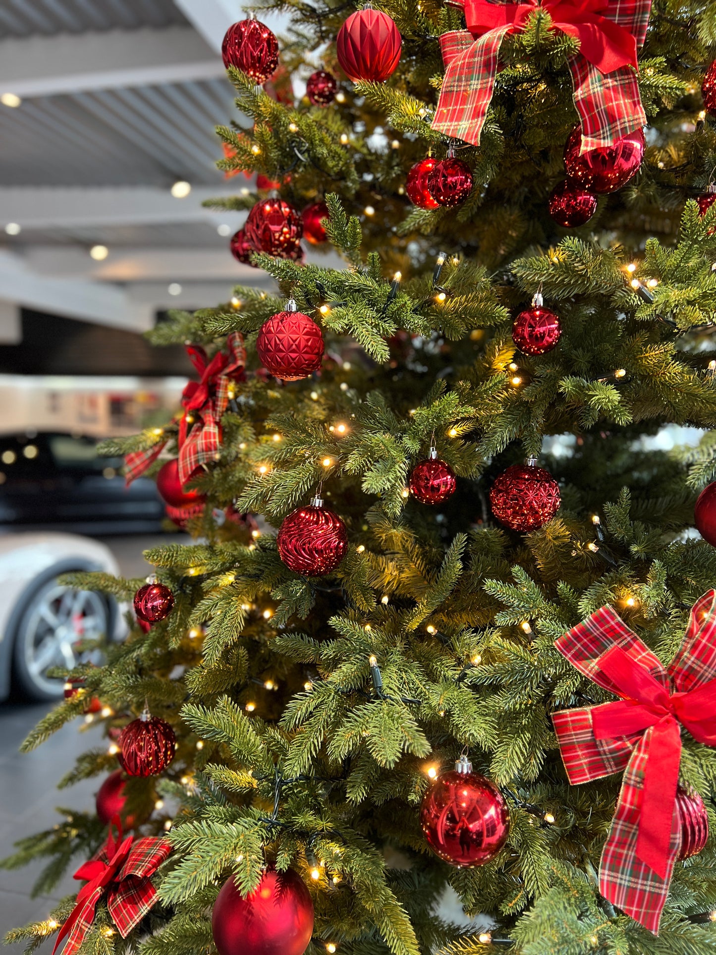 Weihnachtsbaum „Premium-Mix“ mit LED Beleuchtung - H 500 cm