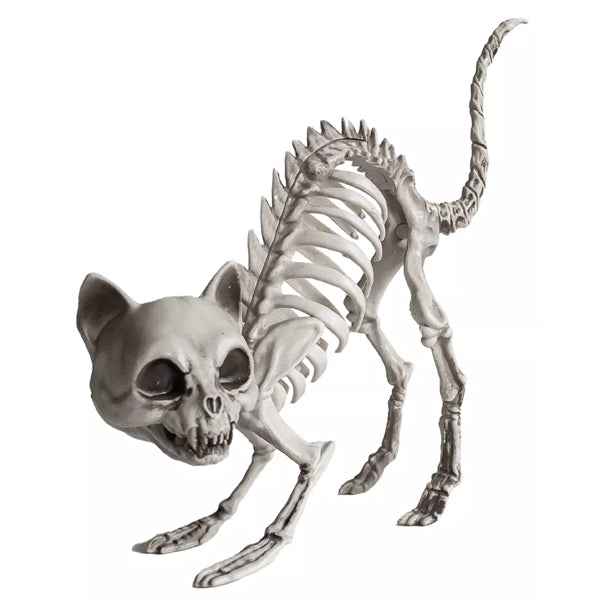 Katzenskelett 19cm