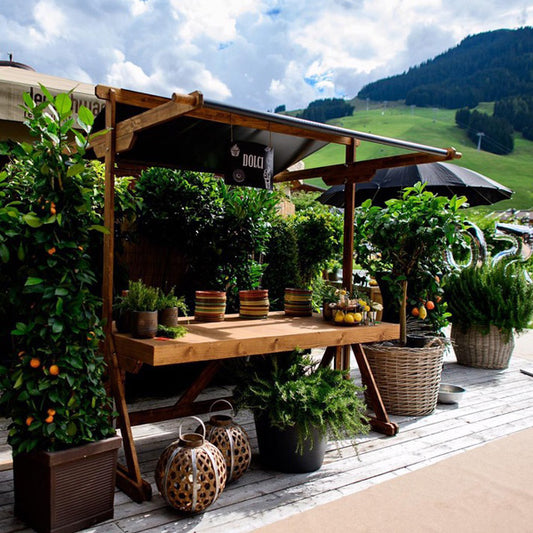 Marktstand aus Holz - Dach anthrazit