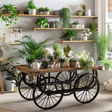 Laden Sie das Bild in den Galerie-Viewer, Marktwagen FINZENZ