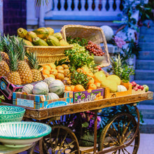 Laden Sie das Bild in den Galerie-Viewer, Marktwagen FINZENZ
