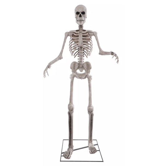 Sprechendes XXL Skelett
