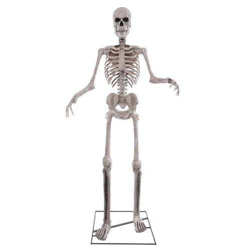 Sprechendes XXL Skelett