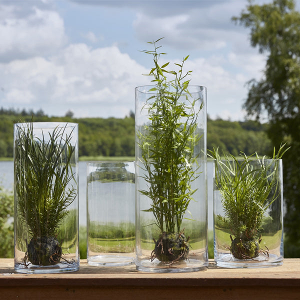 Glasvase "Cylindro" - Höhe 17 cm | Ø 12 cm