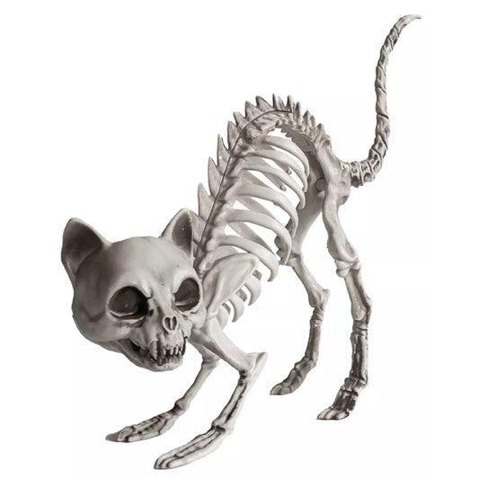 Katzenskelett 19cm