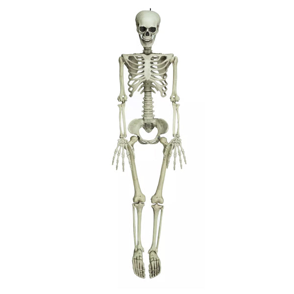 Positionierbares Skelett
