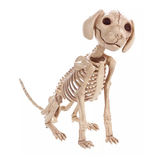 Sitzendes Hundeskelett