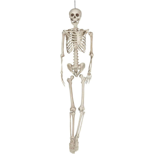 Skelett Torso Hängefigur