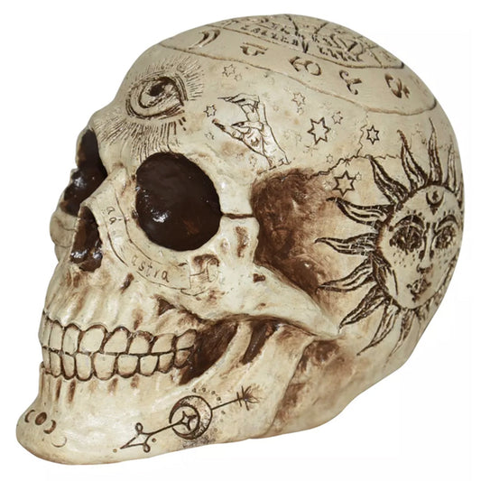 Kleiner Wahrsage Totenkopf