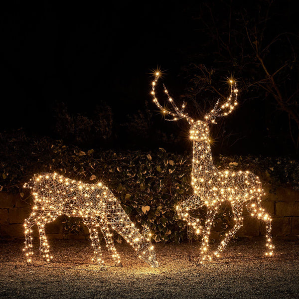 LED Rentier Familie