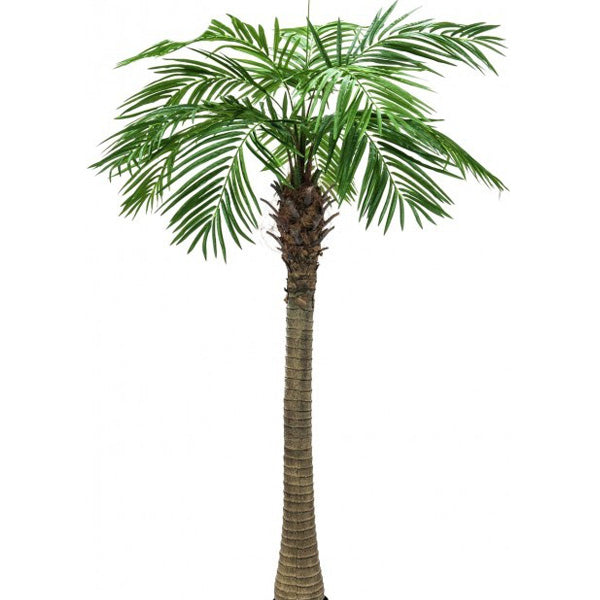 Kunstpalme - Phönixpalme 20 Wedel - im Topf - Höhe 450 cm